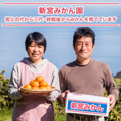 【12月上旬より順次発送】新宮みかん園希少な盛田温州みかん 5kg(S～L) 【M73×1】