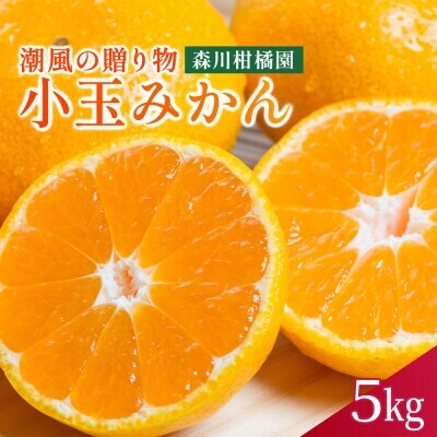 潮風の贈り物 みかん(小玉) 5kg【L18×1】