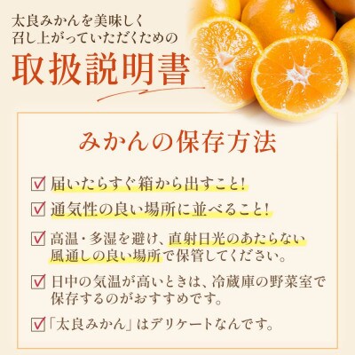 潮風の贈り物 みかん(小玉) 5kg【L18×1】