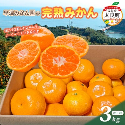 【10月下旬より順次発送】早津みかん園の完熟みかん 3kg(太良町)【L101×1】