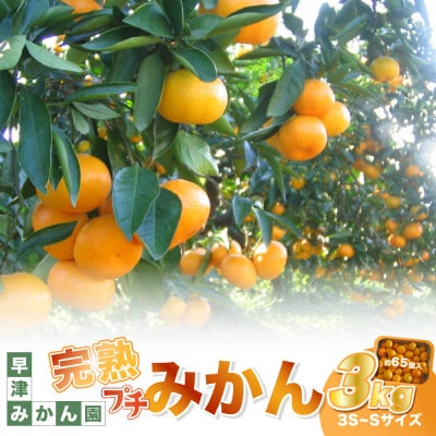 【10月下旬より順次発送】早津みかん園の完熟プチみかん 3kg(太良町)【L102×1】
