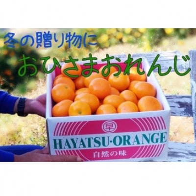 【12月中旬より順次発送】おひさまおれんじ3kg(太良町)【L103×1】