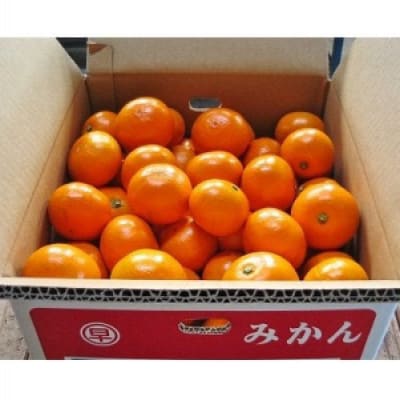 【12月中旬より順次発送】おひさまおれんじ3kg(太良町)【L103×1】
