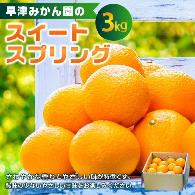 早津みかん園のスイートスプリング 3kg(太良町)【L27×1】