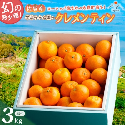 【先行受付】早津みかん園のクレメンティン 3kg(太良町)【L29×2】
