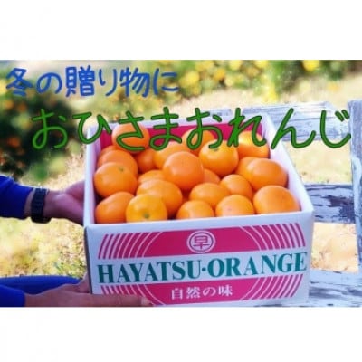 【12月中旬より順次発送】おひさまおれんじ 7kg(太良町)【O84×1】