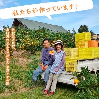 【12月中旬より順次発送】おひさまおれんじ 7kg(太良町)【O84×1】