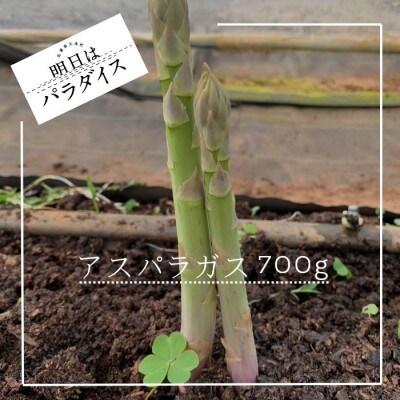 【朝採れ】アスパラガス 700g 朝採れ即発送【N-244】