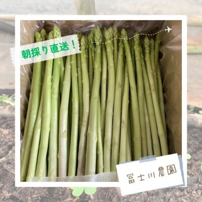 【朝採れ】アスパラガス 700g 朝採れ即発送【N-244】