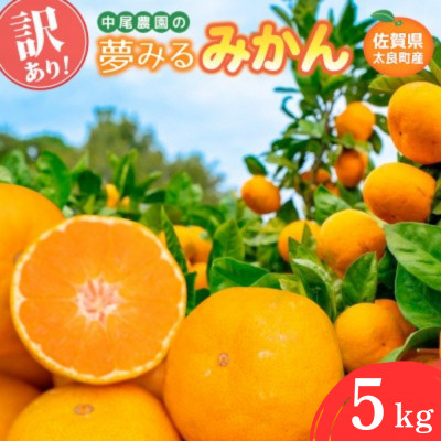 【訳あり】中尾農園の夢みるみかん 5kg【NB36×1】(太良町)