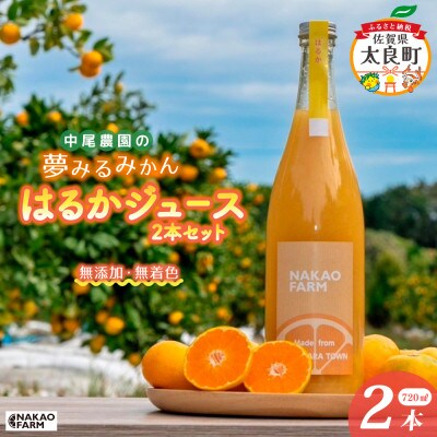 中尾農園の夢みるみかんはるかジュース2本セット【NC27】(太良町)