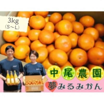 中尾農園の夢みるみかん(S-L) 3kg【O167×1】(太良町)