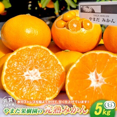 やまだ果樹園の完熟みかん 約5kg【L32】