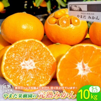 やまだ果樹園の完熟みかん 約10kg【N179】