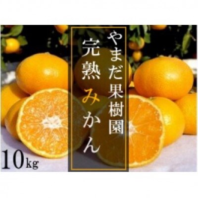 やまだ果樹園の完熟みかん 約10kg【N179】
