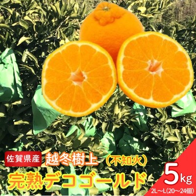 越冬樹上完熟デコゴールド(不知火)5kg【N53x1】