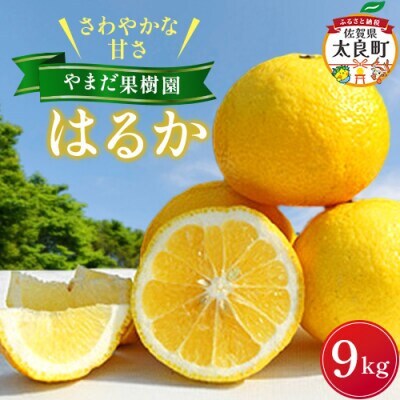 やまだ果樹園のはるか 9kg【NC29x1】