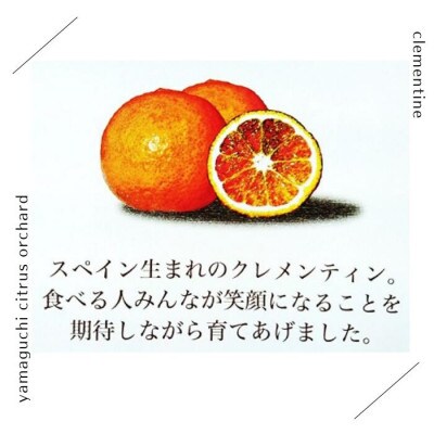 【山口柑橘園】クレメンティンジュース6本セット【013-0022】