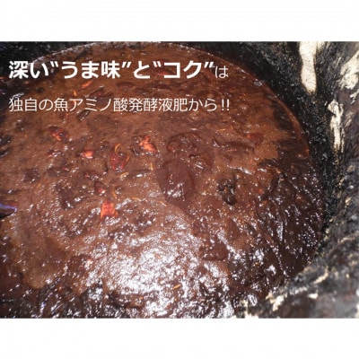 【10月中旬頃より順次発送】果樹園みかんの木の早熟早生みかん 約5kg(太良町)【L8×1】