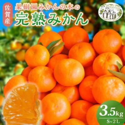 【11月上旬より順次発送】果樹園みかんの木の完熟みかん 約3.5kg(太良町)【L9】