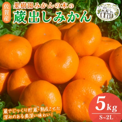 果樹園みかんの木の蔵出しみかん約5kg(太良町)【N24×1】