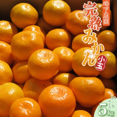 【先行受付】峰下農園の完熟みかん(小玉) 約5kg(太良町)【L124×1】