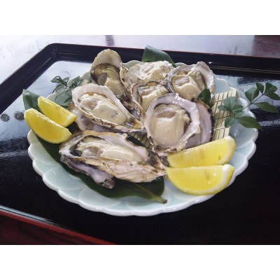 海男の殻付き牡蠣　20個【PE1】