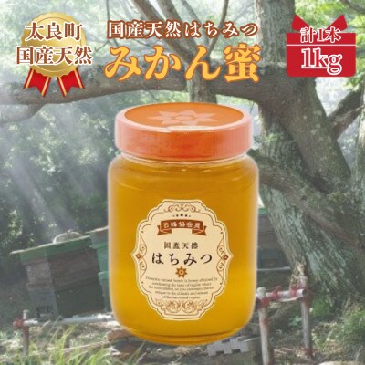 太良町産はちみつ『みかん蜜』1kg(太良町)【O65x1】