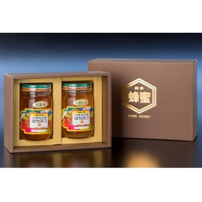太良町産はちみつ2本セット(みかん蜜300g/百花蜜300g)(太良町)【N27x1】