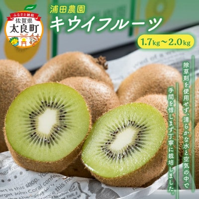体が喜ぶ!キウイフルーツ 1.7kg～2kg(太良町)【LB12x1】