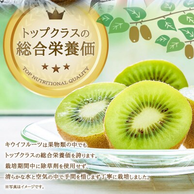 体が喜ぶ!キウイフルーツ 30～35個(約3.8kg)バラ詰め合わせ　太良町【007-0009x1】