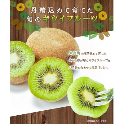 体が喜ぶ!キウイフルーツ 30～35個(約3.8kg)バラ詰め合わせ　太良町【007-0009x1】