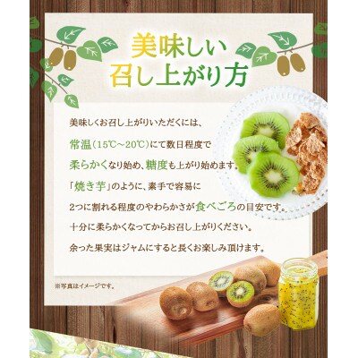 体が喜ぶ!キウイフルーツ 17～22個(約2kg)バラ詰め合わせ(太良町)【007-0010x1】