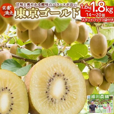 栄養満点!東京ゴールド(キウイフルーツ)14～20個 1.6kg～1.8kg(太良町)【LB-13】