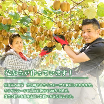 体が喜ぶ!大玉・中玉キウイフルーツ3.4kg～4.0kg(太良町)【N58×1】