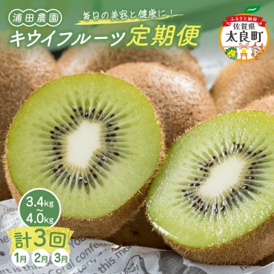 【発送月固定定期便】体が喜ぶ!キウイフルーツ3.4kg～4.0kg(太良町)【Q44×1】全3回