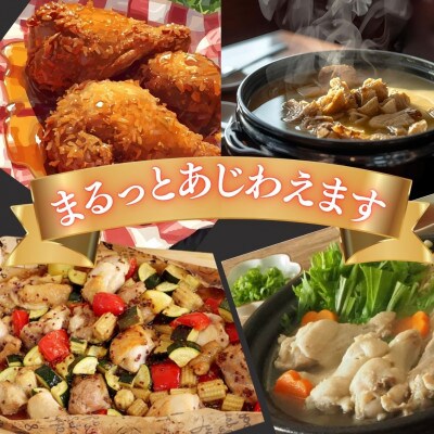 佐賀県ブランド鶏ありたどり丸鶏 1羽分(2.2～2.5kg) 太良町【ND24×1】
