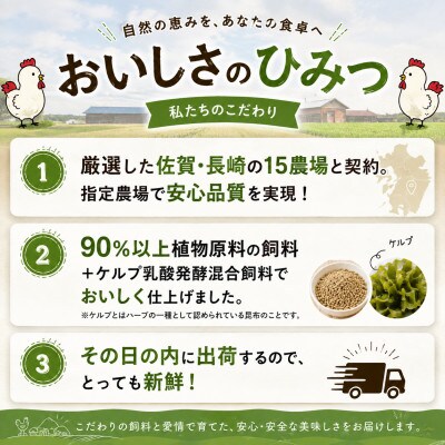 佐賀県ブランド鶏ありたどり丸鶏 1羽分(2.2～2.5kg) 太良町【ND24×1】