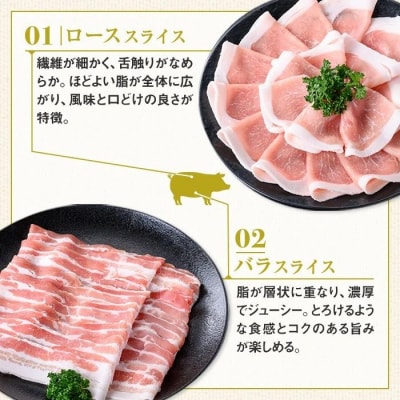 鹿児島県産 豚ロース 豚バラスライスセット(合計約3kg) ドレッシング付　W05010