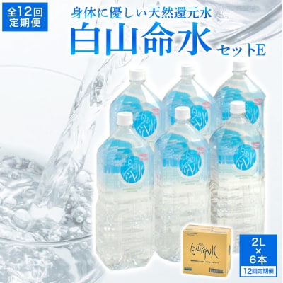 白山命水 セットE 12回定期便(ペットボトル2L×6本入り) ミネラルウォーター 天然水 定期便