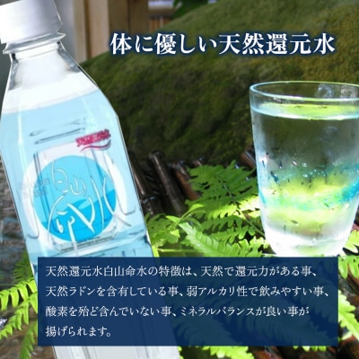 白山命水 セットE 12回定期便(ペットボトル2L×6本入り) ミネラルウォーター 天然水 定期便