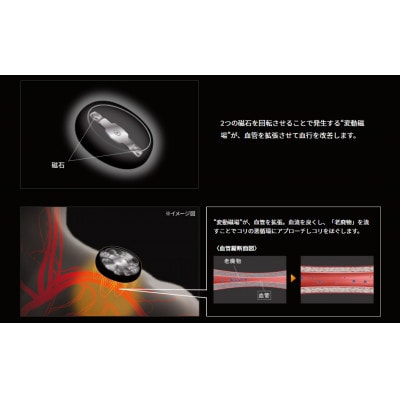 ピップ 家庭用永久磁石磁気治療器 PIP Z:SPINNER 【ピップ ジースピナー】 2個入り