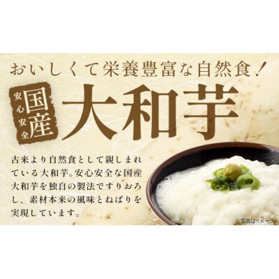 《国産大和芋使用》冷凍大和芋とろろ　プレーン20パック・青のり入り10パック(計30パック)