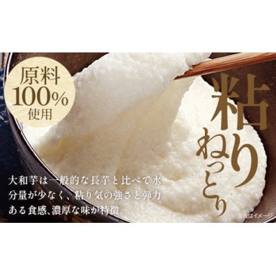《国産大和芋使用》冷凍大和芋とろろ プレーン 40g×20パック