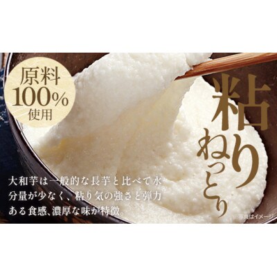 《国産大和芋使用》冷凍大和芋とろろ プレーン 40g×40パック
