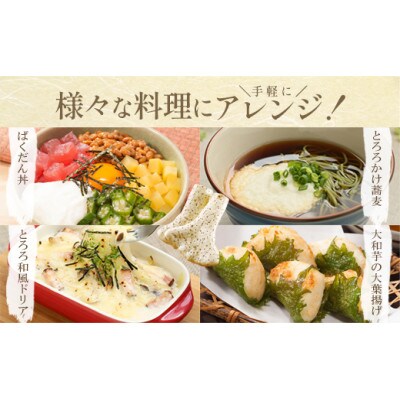 《国産大和芋使用》冷凍大和芋とろろ プレーン 40g×40パック