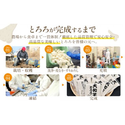 《国産大和芋使用》冷凍大和芋とろろ プレーン 40g×40パック