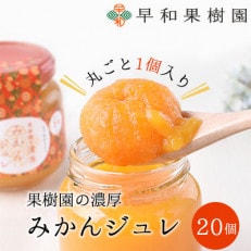 【早和果樹園】濃厚みかんジュレ みかんまるごと1個入×20個