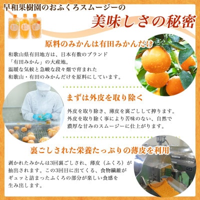 【早和果樹園】おふくろスムージー有田みかん30本入|飲むみかんゼリー(パウチタイプのジュレ)
