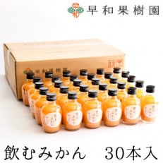 【早和果樹園】飲むみかん30本入|有田みかん100%ストレートジュース